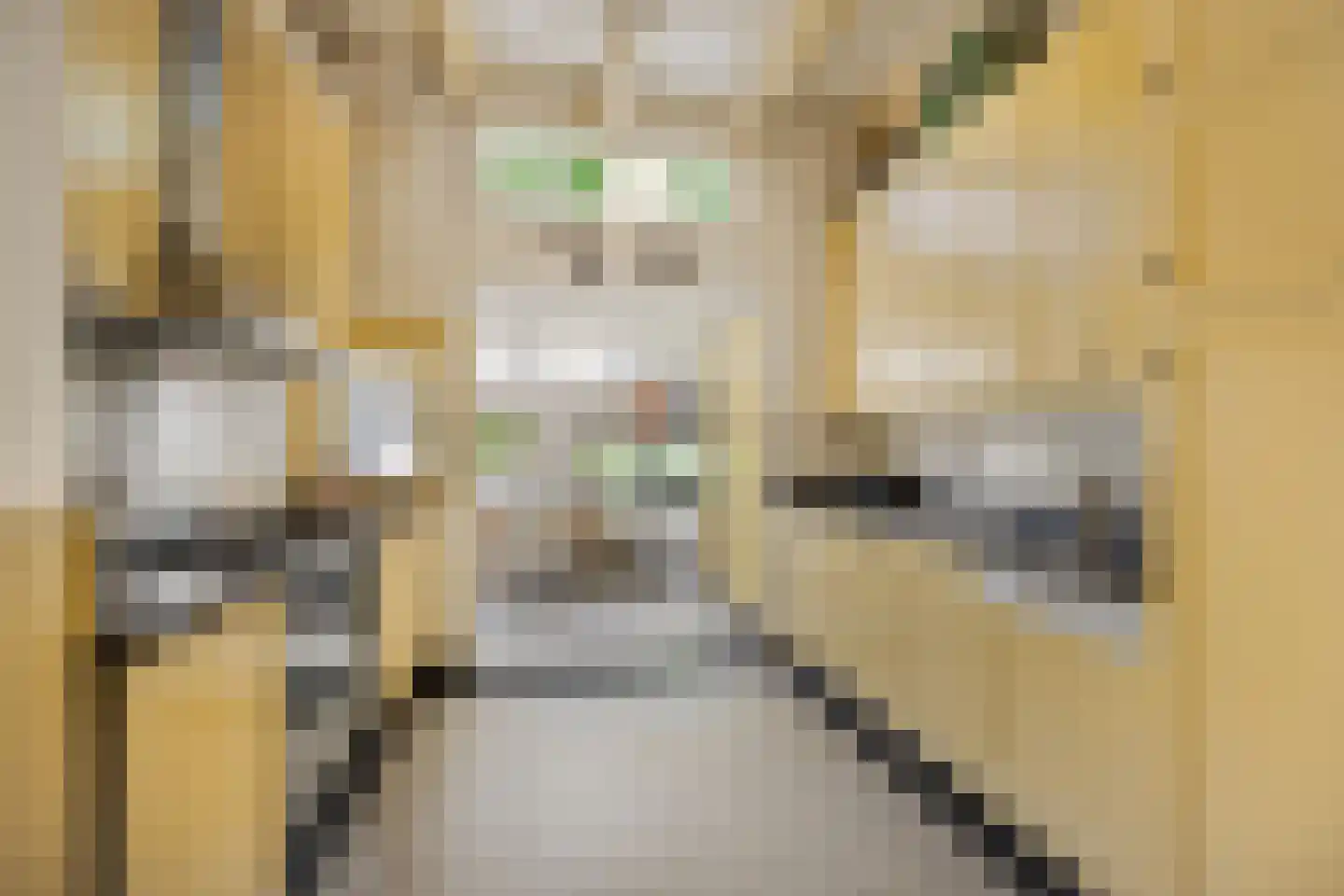 Terweeweg 152 Oegstgeest thumbnail 7