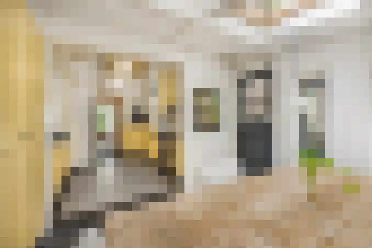 Terweeweg 152 Oegstgeest thumbnail 9
