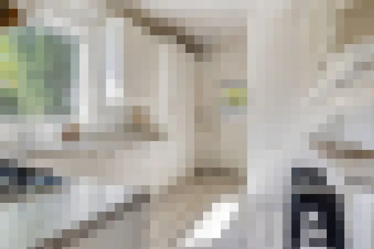 Terweeweg 61 Oegstgeest thumbnail 19