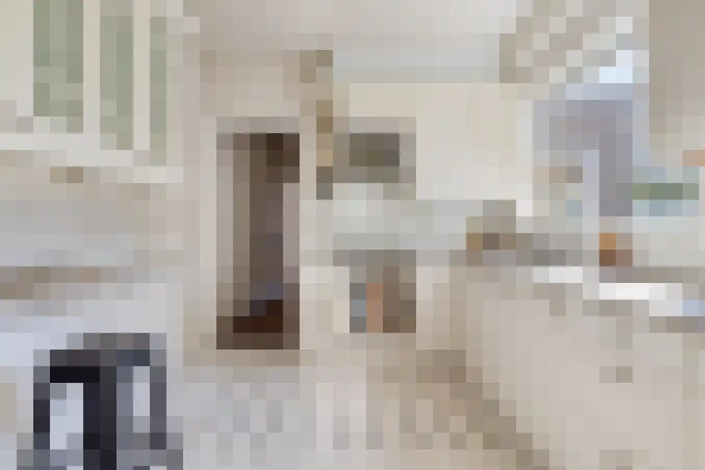 Terweeweg 61 Oegstgeest thumbnail 20