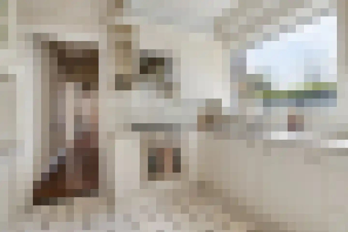 Terweeweg 61 Oegstgeest thumbnail 22