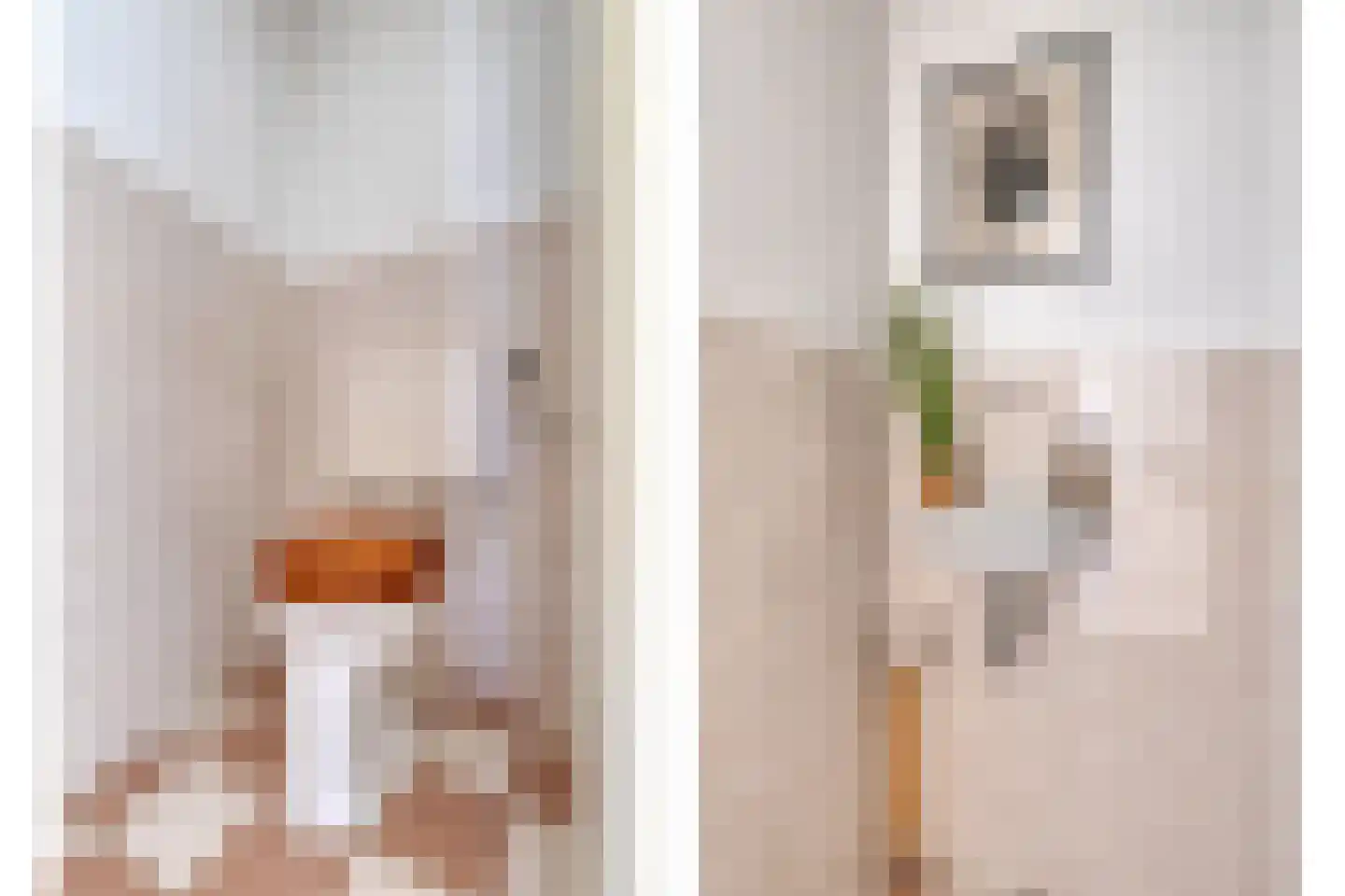Terweeweg 61 Oegstgeest thumbnail 31