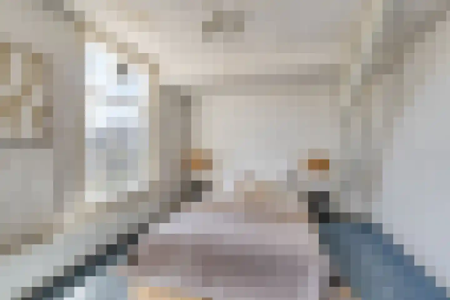 Terweeweg 61 Oegstgeest thumbnail 32