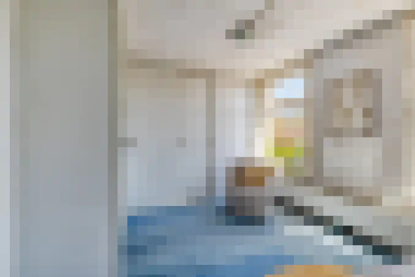Terweeweg 61 Oegstgeest thumbnail 33