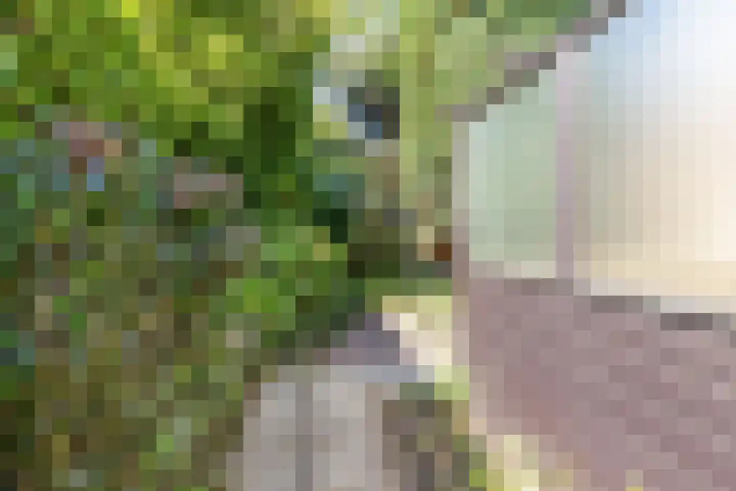 Terweeweg 61 Oegstgeest thumbnail 35
