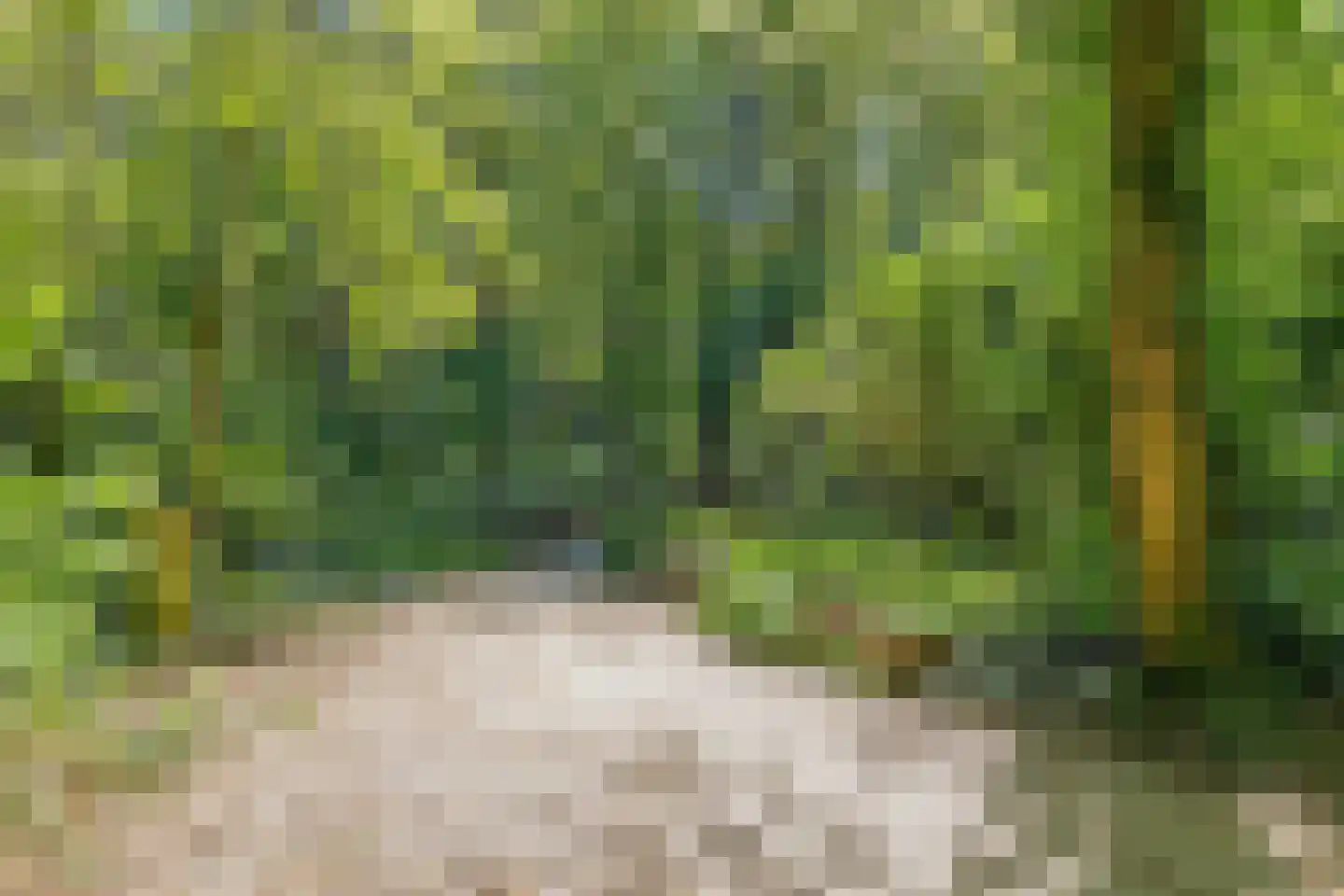 Terweeweg 61 Oegstgeest thumbnail 40