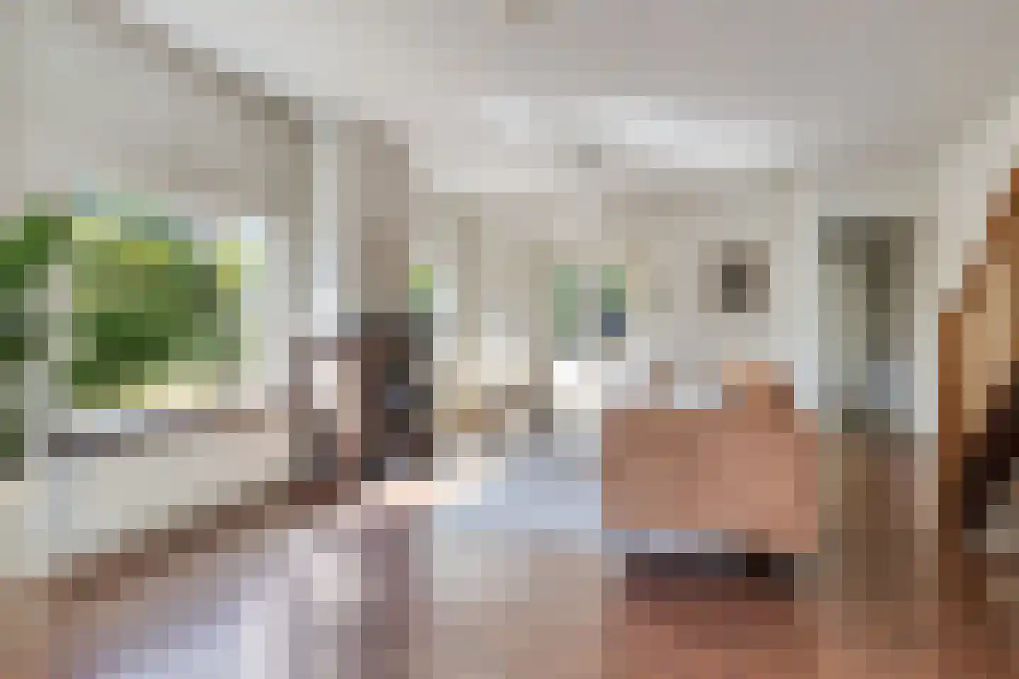 Terweeweg 61 Oegstgeest thumbnail 7