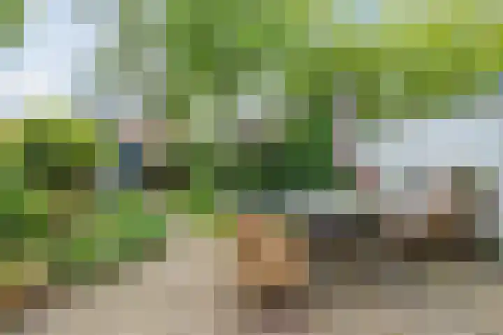 Terweeweg 76 Oegstgeest thumbnail 18