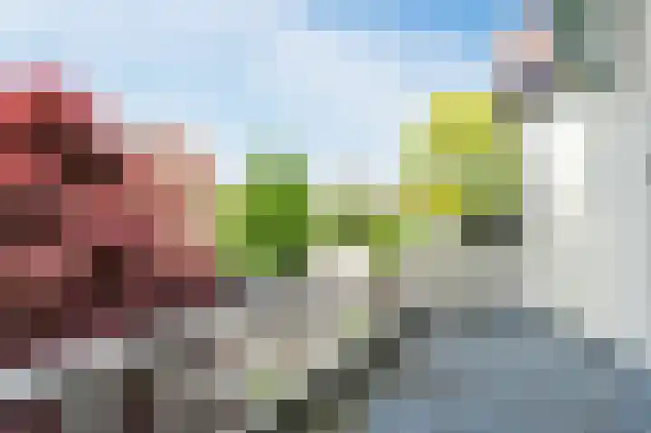 Terweeweg 76 Oegstgeest thumbnail 29