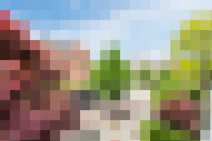 Terweeweg 76 Oegstgeest thumbnail 39