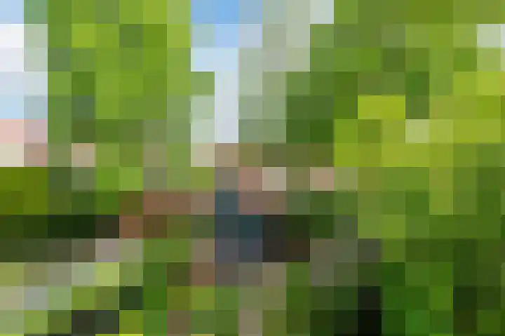 Terweeweg 76 Oegstgeest thumbnail 40