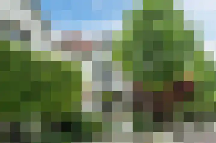Terweeweg 76 Oegstgeest thumbnail 5