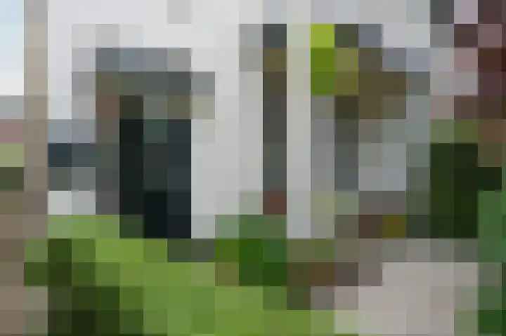 Terweeweg 76 Oegstgeest thumbnail 6