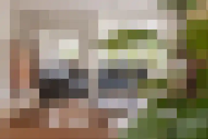 Terweijdehoef 9 Rijsbergen thumbnail 13