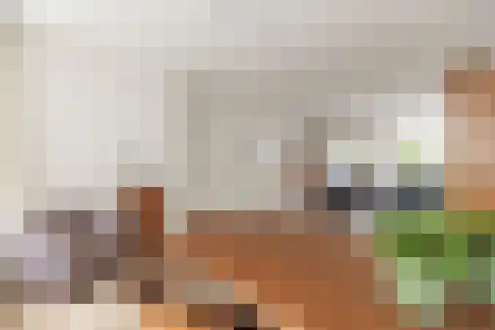 Terweijdehoef 9 Rijsbergen thumbnail 14