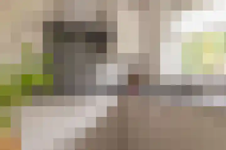 Terweijdehoef 9 Rijsbergen thumbnail 18