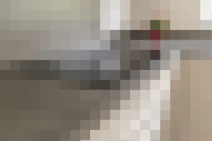 Terweijdehoef 9 Rijsbergen thumbnail 19