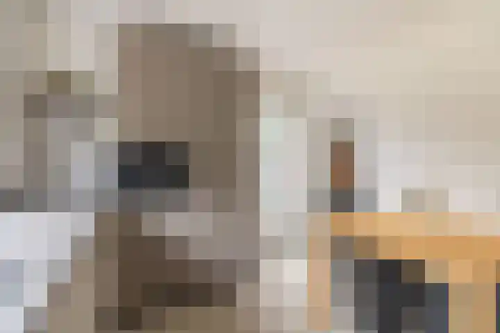 Terweijdehoef 9 Rijsbergen thumbnail 20