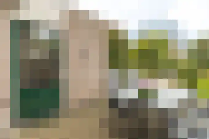 Terweijdehoef 9 Rijsbergen thumbnail 34