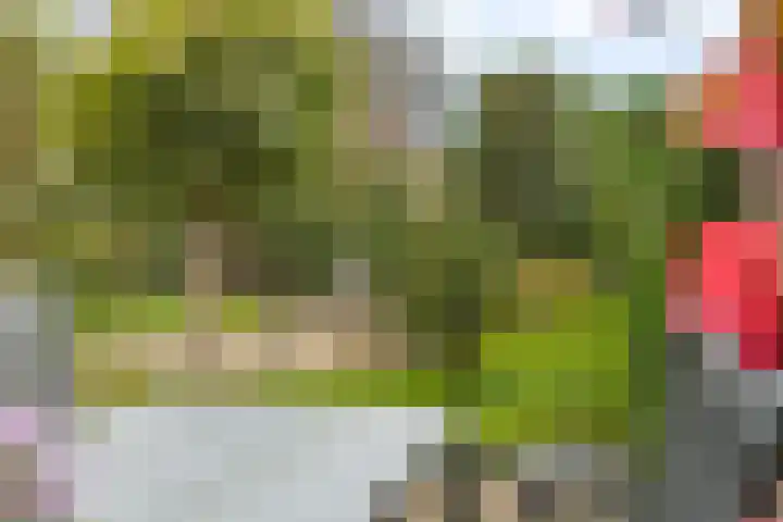 Terweijdehoef 9 Rijsbergen thumbnail 35