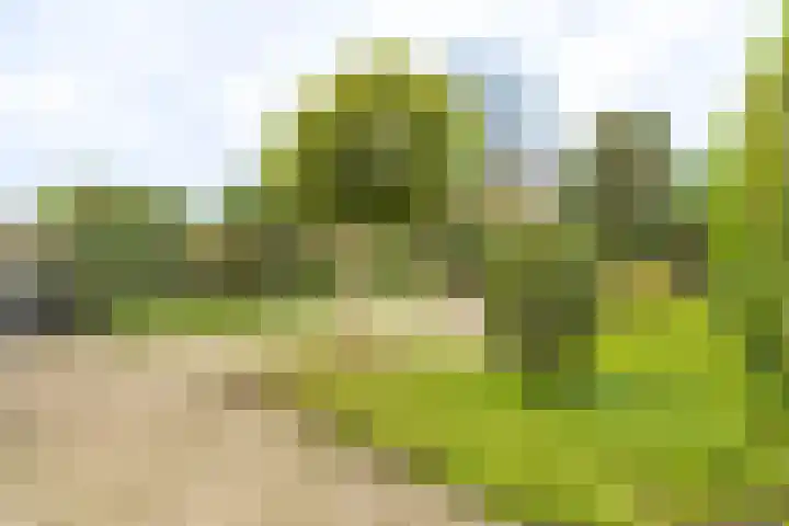 Terweijdehoef 9 Rijsbergen thumbnail 36