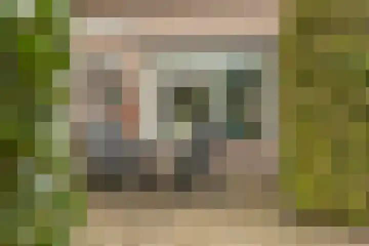 Terweijdehoef 9 Rijsbergen thumbnail 37
