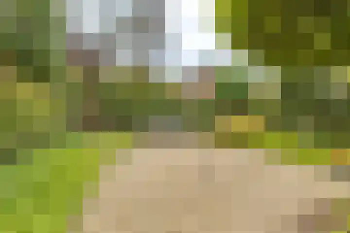 Terweijdehoef 9 Rijsbergen thumbnail 38