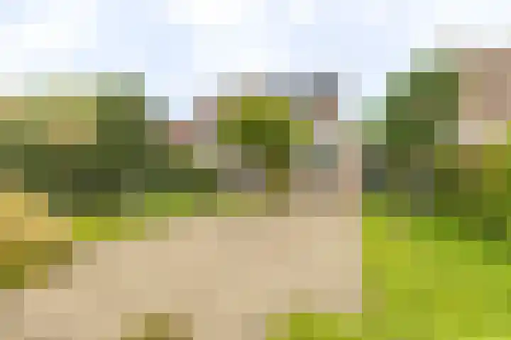 Terweijdehoef 9 Rijsbergen thumbnail 5
