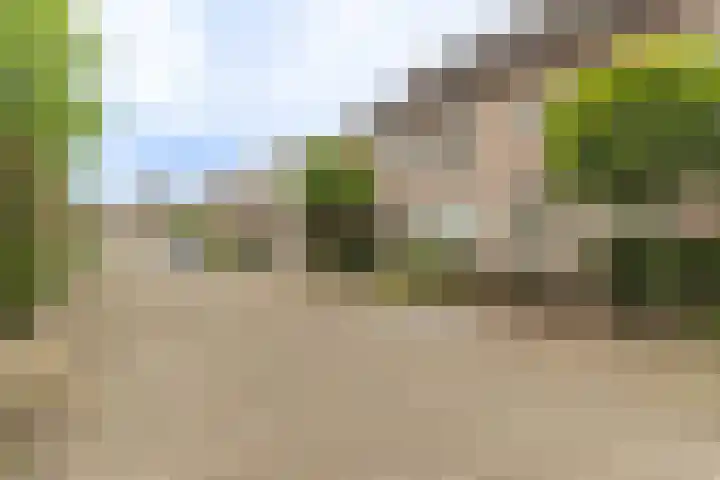 Terweijdehoef 9 Rijsbergen thumbnail 8