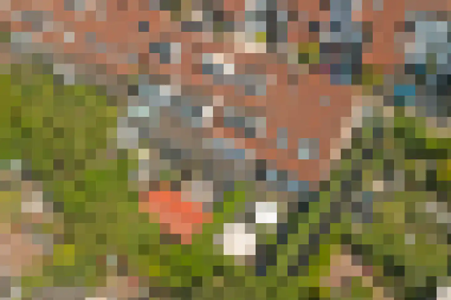 Terwenstraat 3 Gouda thumbnail 38