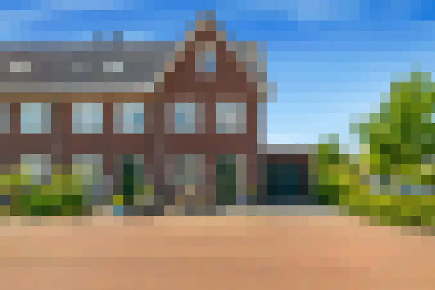 Terwiel 1 Limmen foto 2