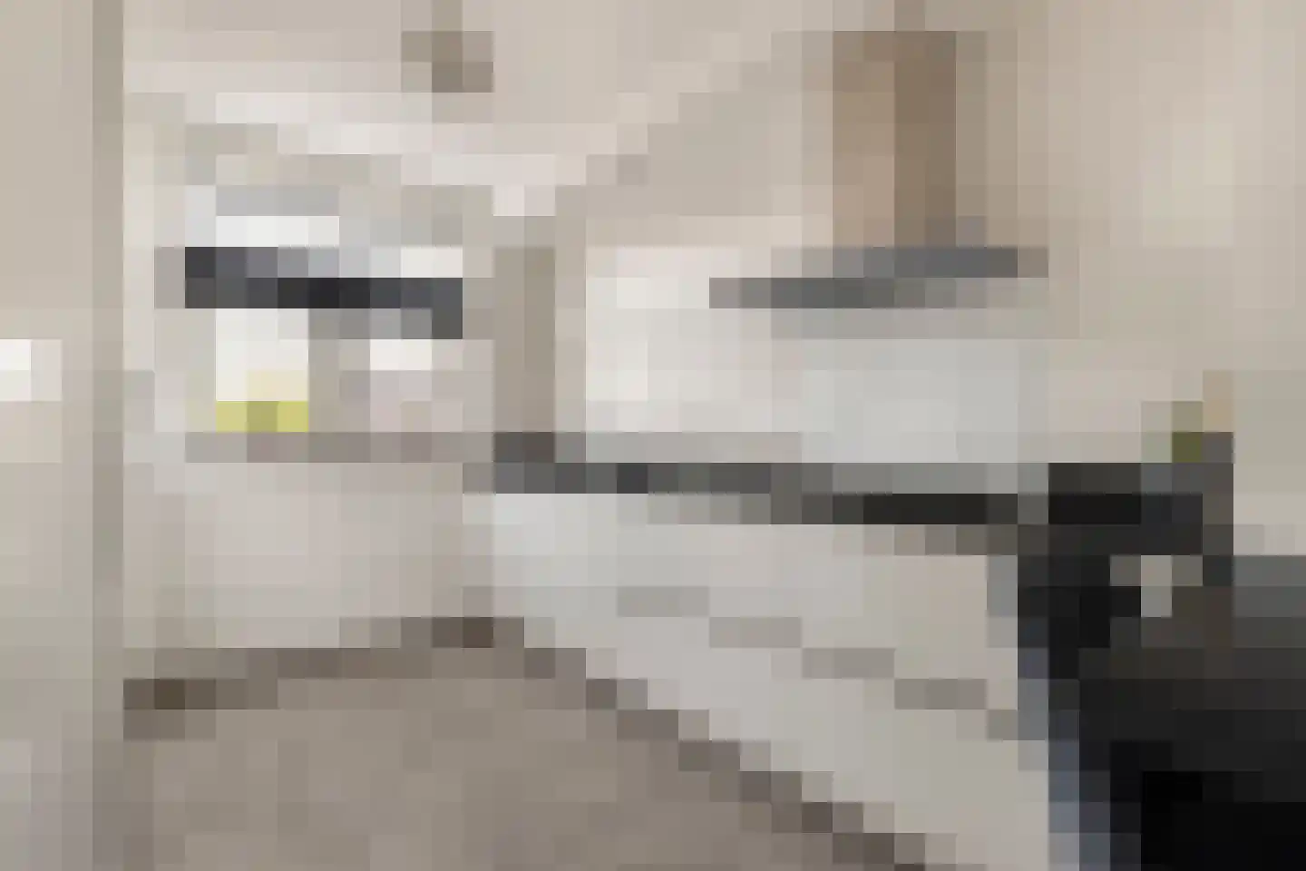 Terwiel 1 Limmen thumbnail 23