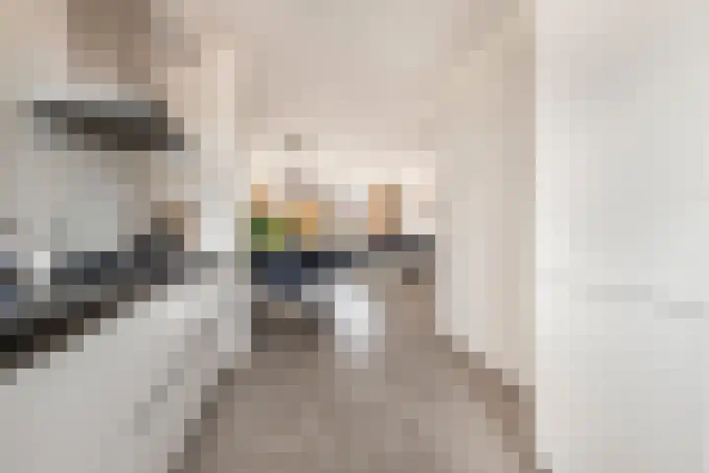 Terwiel 1 Limmen thumbnail 25