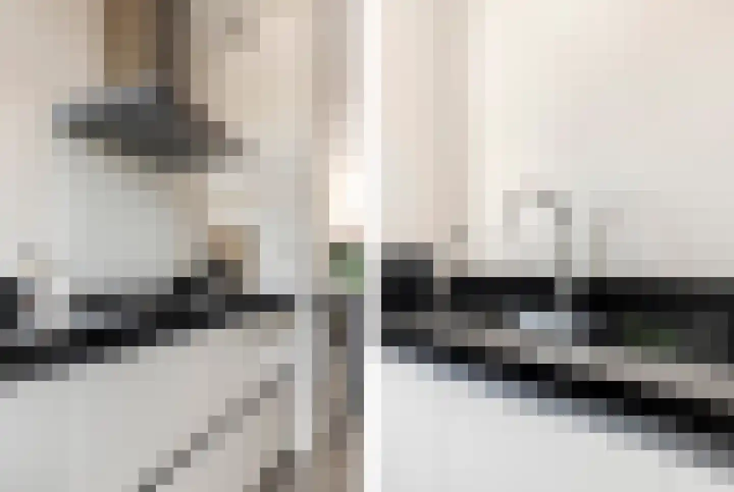 Terwiel 1 Limmen thumbnail 26