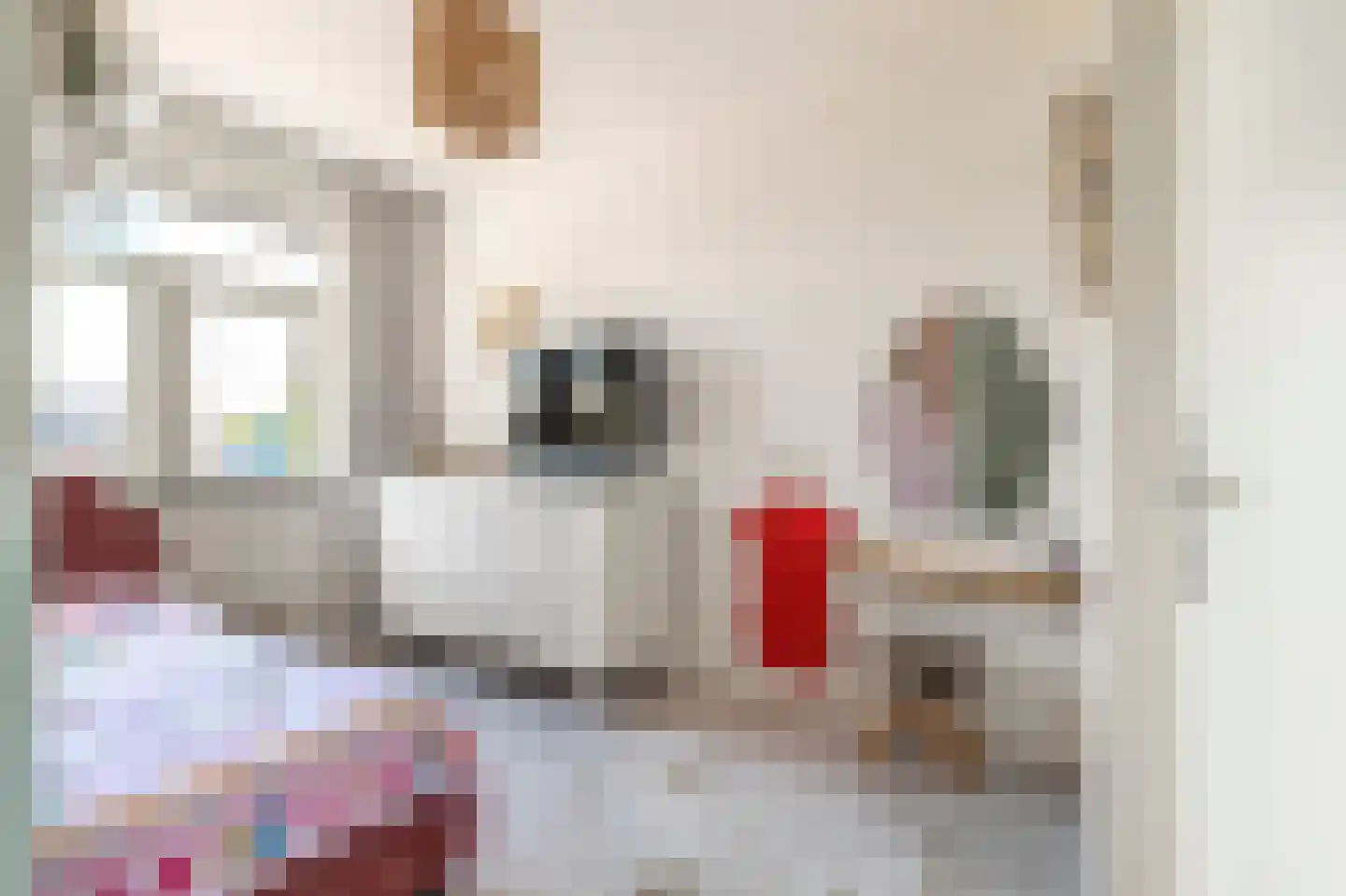 Terwiel 1 Limmen thumbnail 30