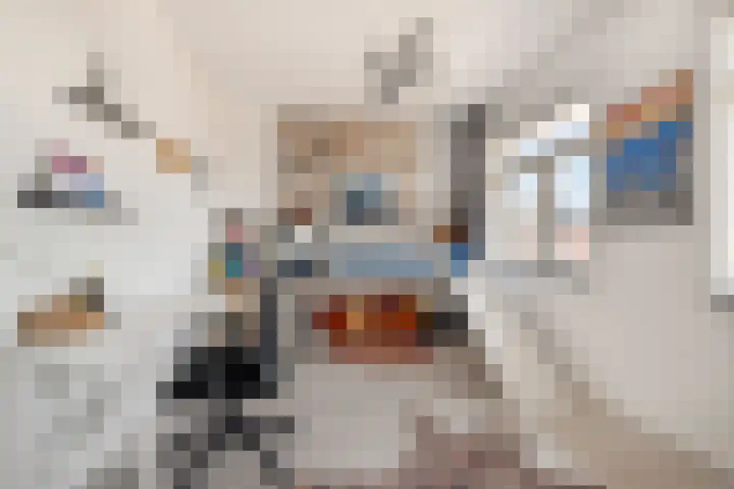 Terwiel 1 Limmen thumbnail 35