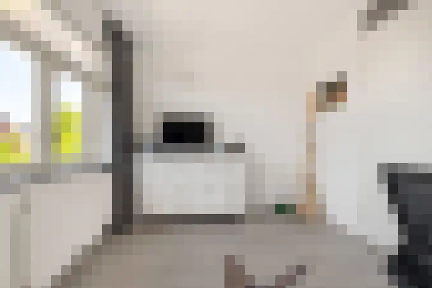 Terwiel 1 Limmen thumbnail 37