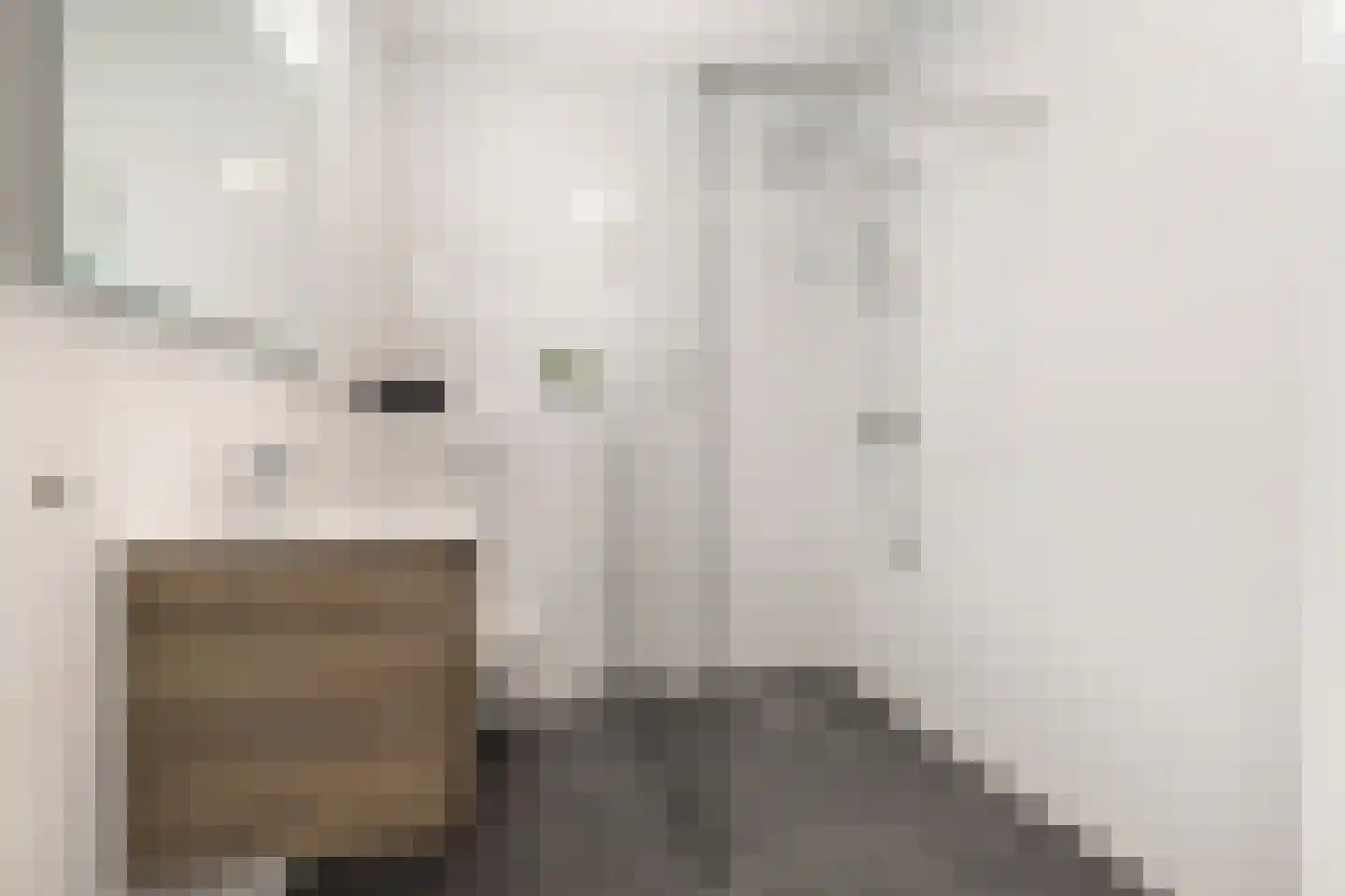 Terwiel 1 Limmen thumbnail 39