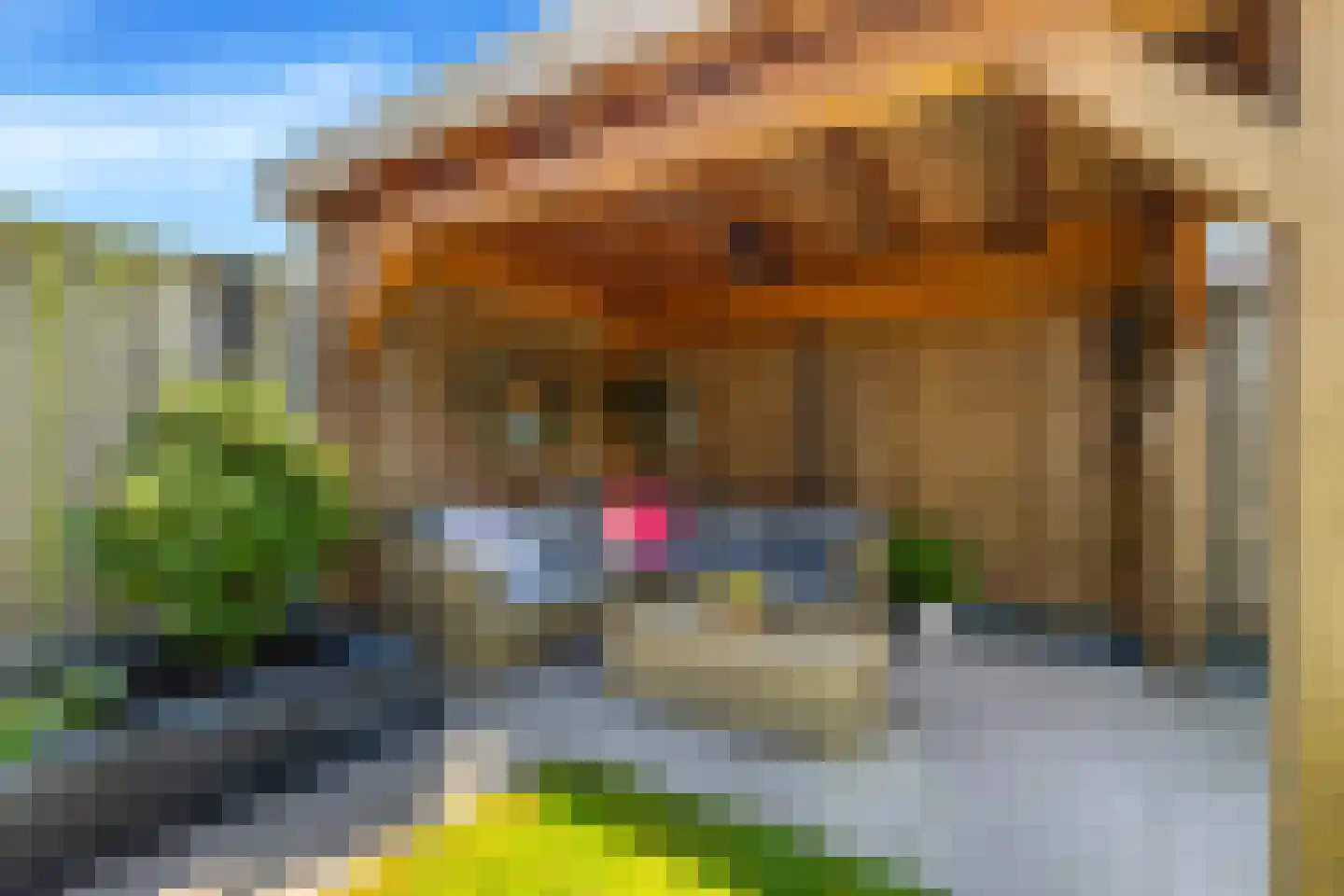 Terwiel 1 Limmen thumbnail 49