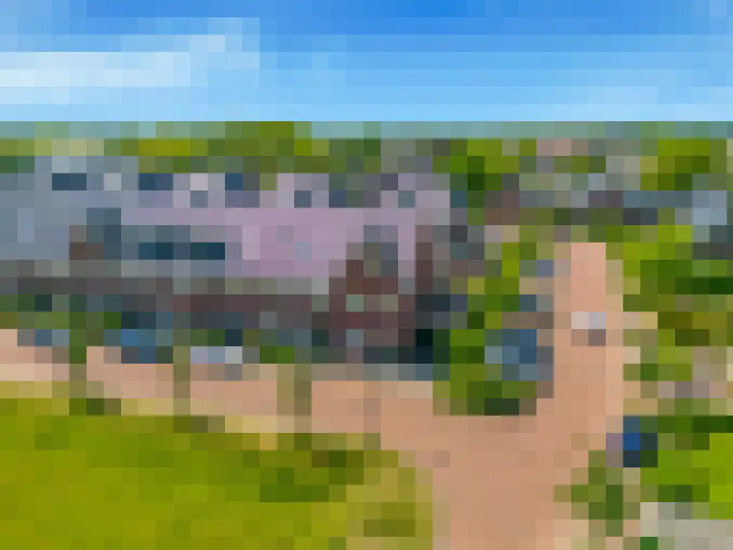 Terwiel 1 Limmen thumbnail 58