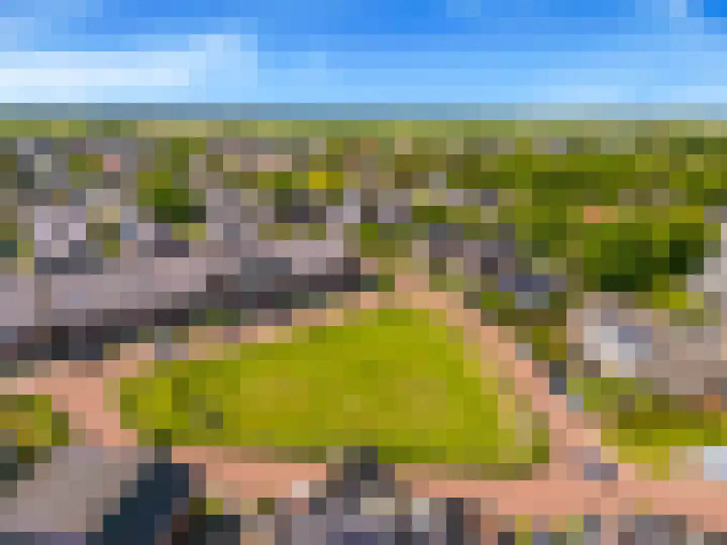 Terwiel 1 Limmen thumbnail 59