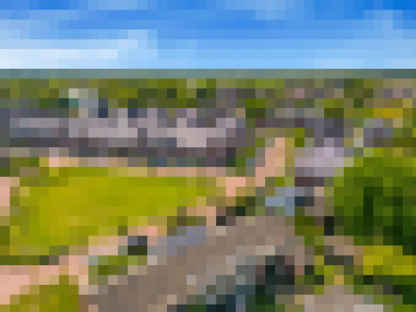 Terwiel 1 Limmen thumbnail 60
