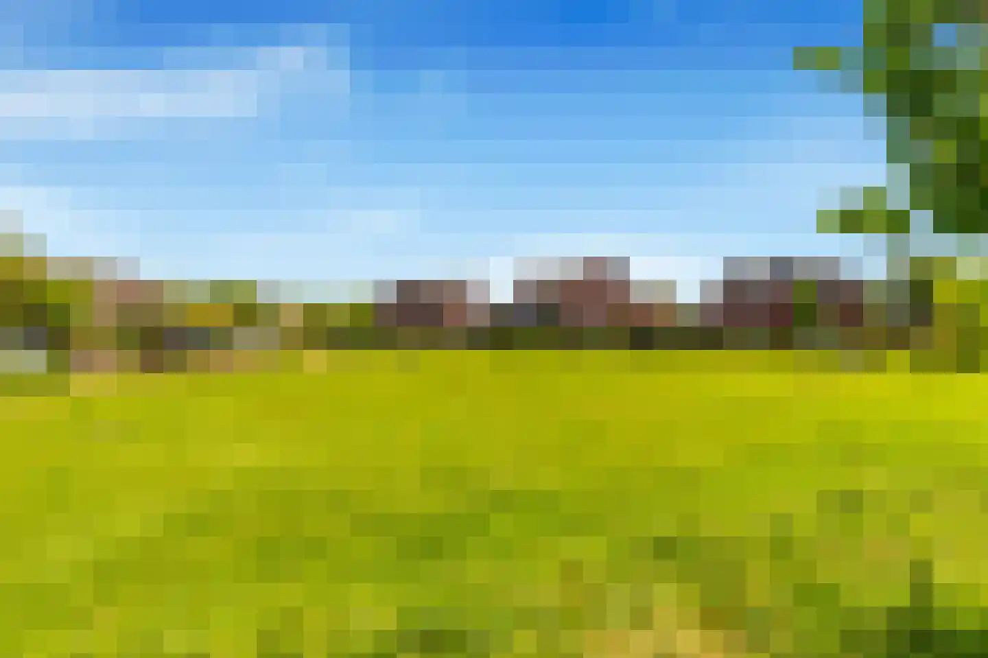 Terwiel 1 Limmen thumbnail 61