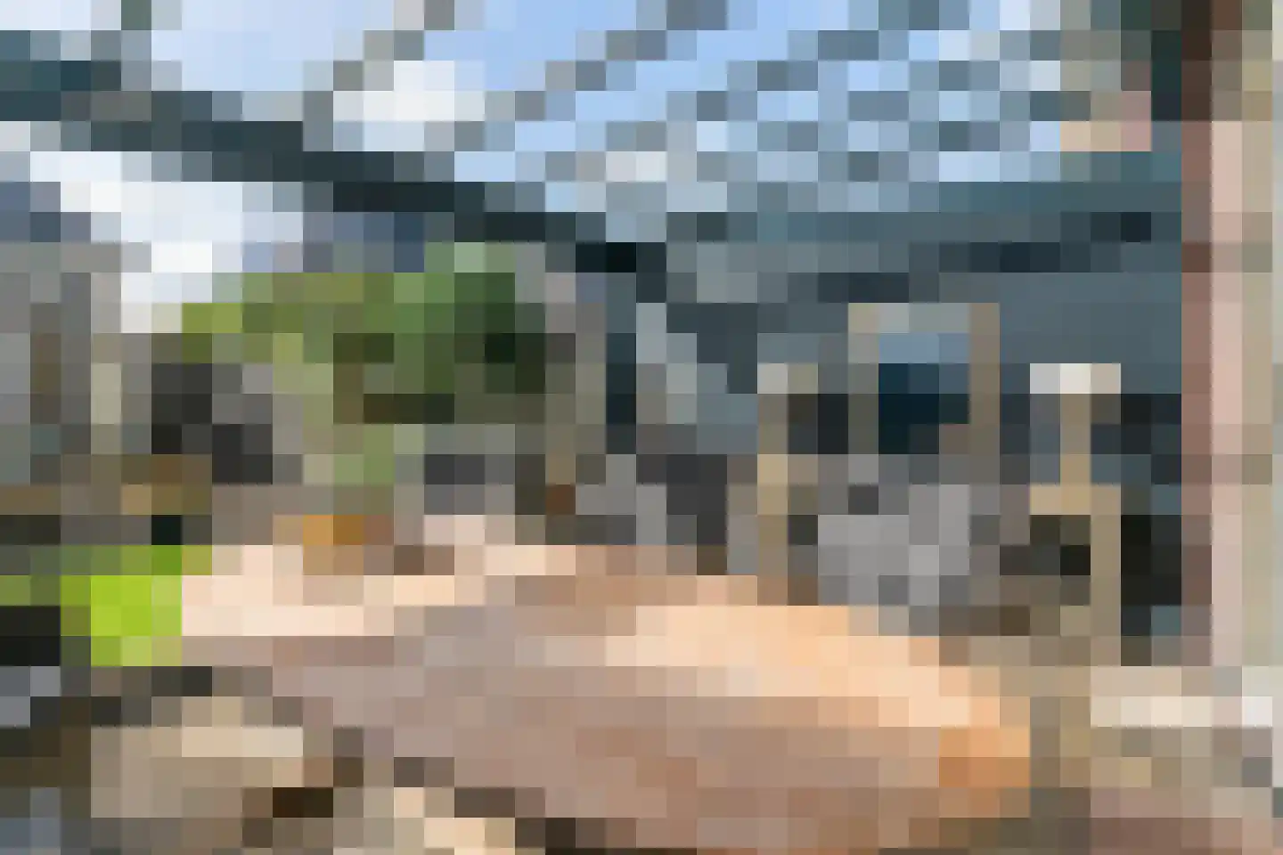Terwiel 17 Limmen thumbnail 17