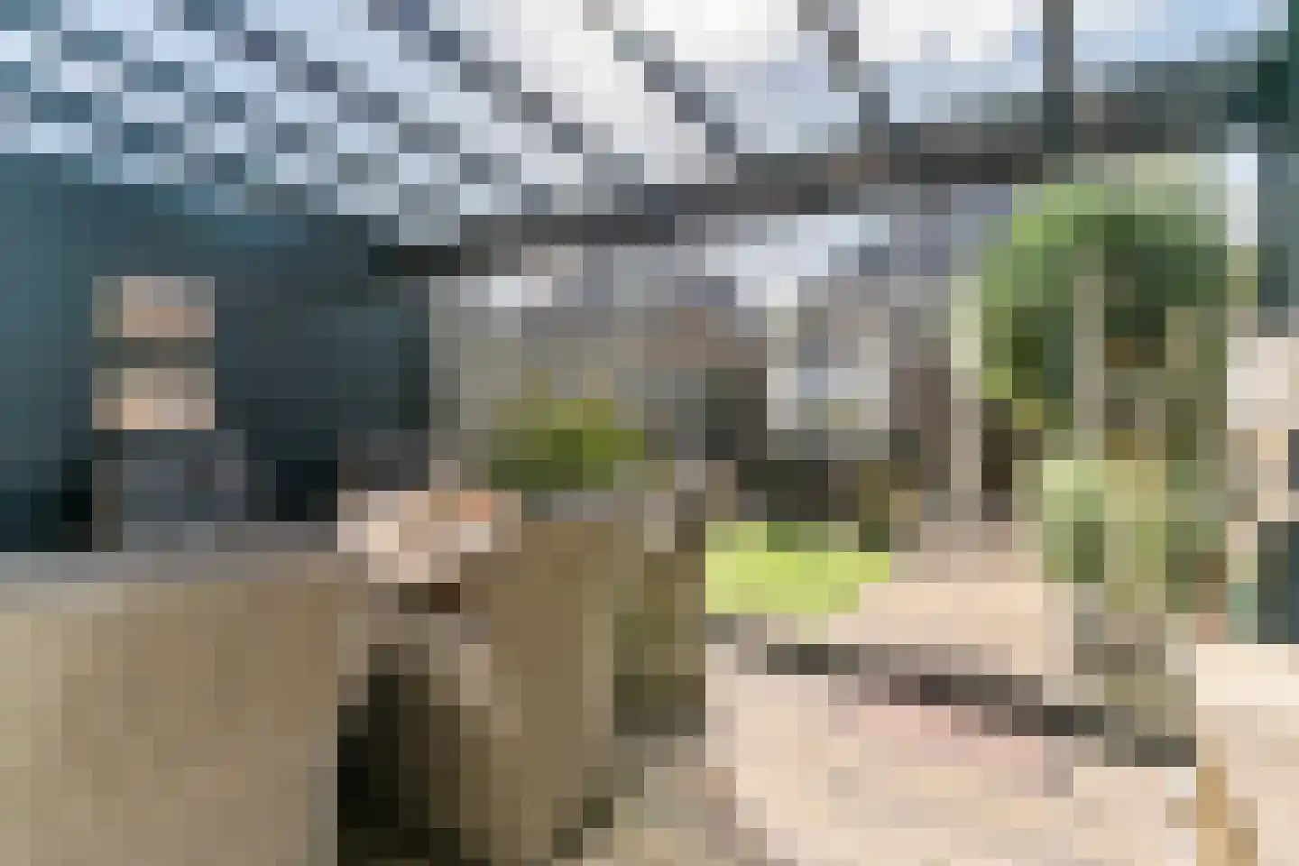 Terwiel 17 Limmen thumbnail 19