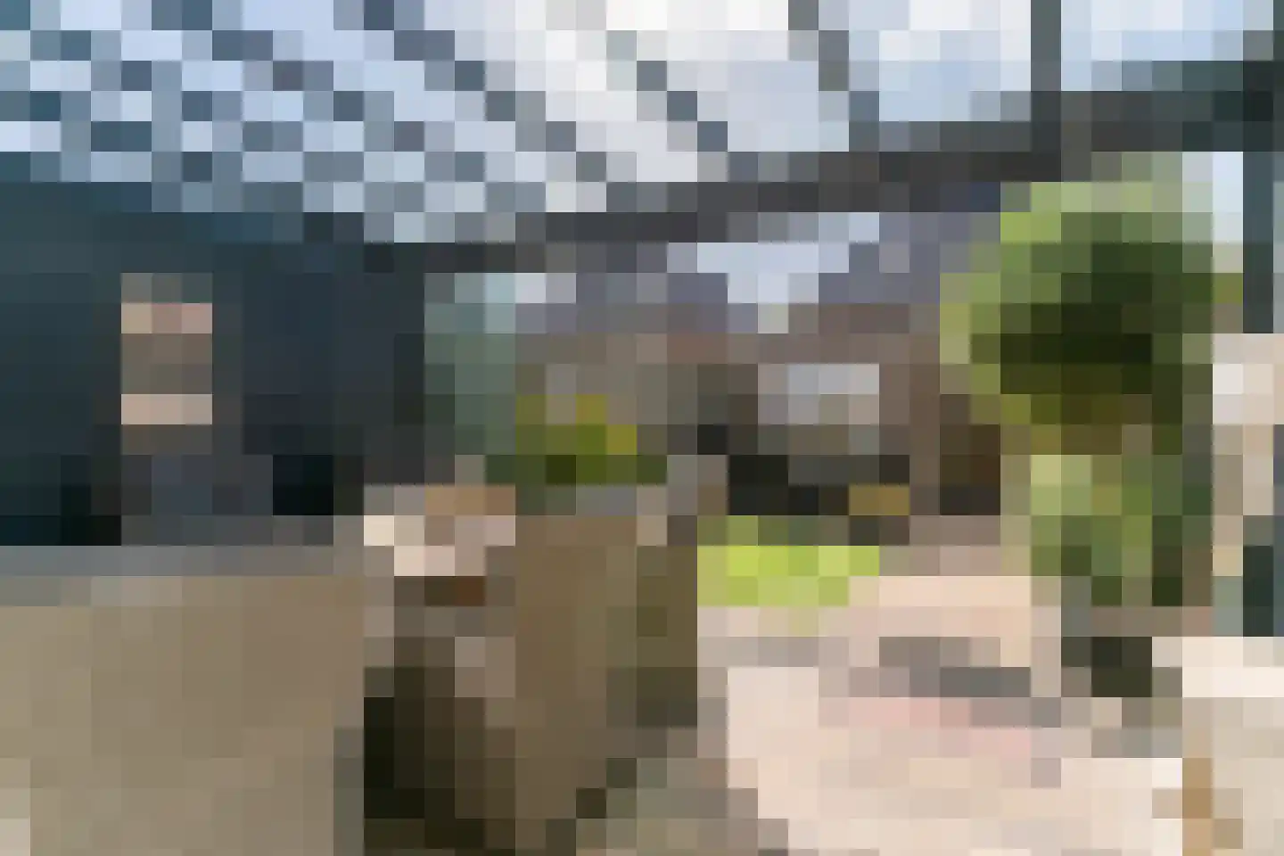 Terwiel 17 Limmen thumbnail 21