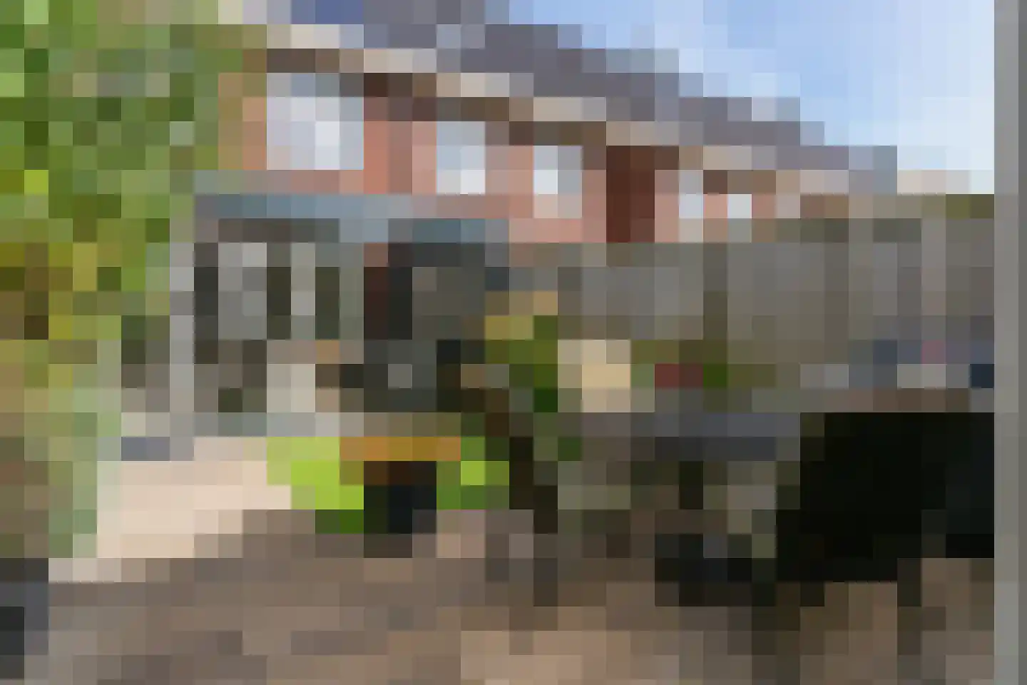 Terwiel 17 Limmen thumbnail 40