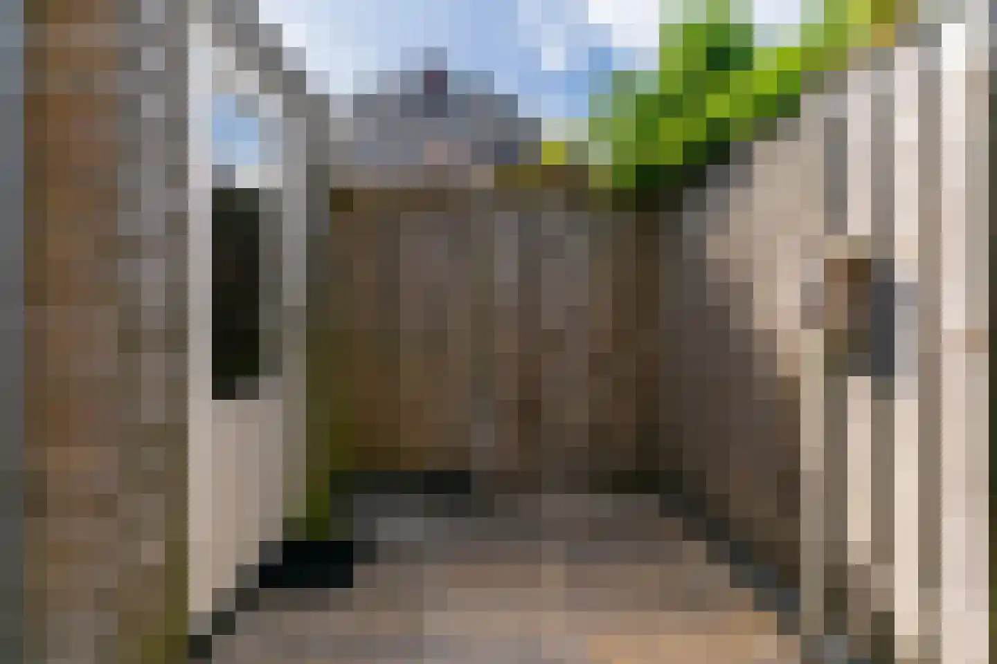 Terwiel 17 Limmen thumbnail 44