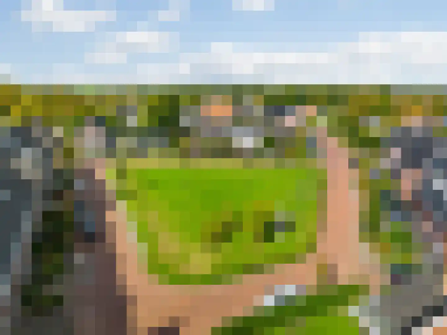 Terwiel 17 Limmen thumbnail 55