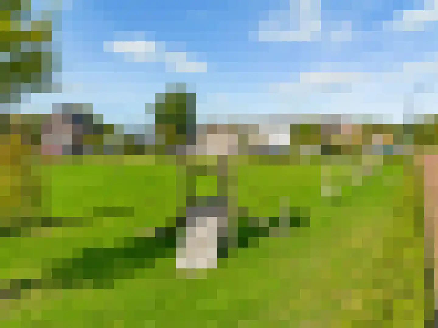 Terwiel 17 Limmen thumbnail 57